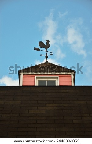 Weathercock above the house roof