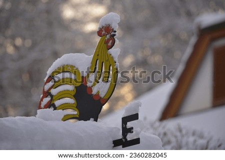Weathercock with snow in winter