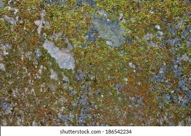 Weathered aged stone surface with moss and lichen