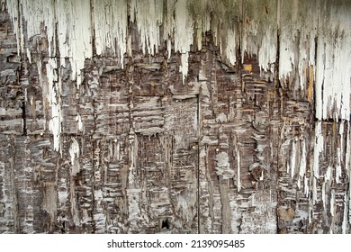 Weathered Barn Siding Severely Worn