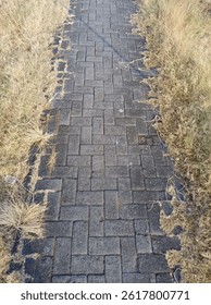 weathered brick pathway, bordered by dry grass and scattered weeds, winds its way through an overgrown landscape, inviting wanderers to reflect on nature’s resilience amidst urban encroachment neglect