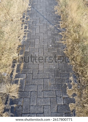 weathered brick pathway, bordered by dry grass and scattered weeds, winds its way through an overgrown landscape, inviting wanderers to reflect on nature’s resilience amidst urban encroachment neglect