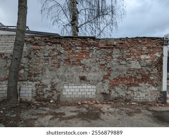 Weathered brick wall with partial plaster and patches of white bricks, set against a gray, overcast sky and framed by bare trees, showcasing an urban decay aesthetic.