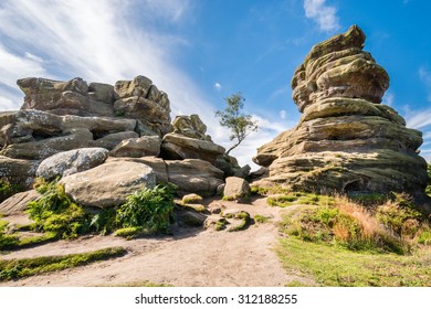 Weathered Brimham Rocks / Brimham Rocks on Brimham Moor in North Yorkshire are weathered sandstone, known as Millstone Grit,creating some dramatic shapes, many of which have been named