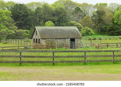 A Weathered Building On An Alpaca Farm In Oak Bluffs Massachusetts On Martha's Vineyard.