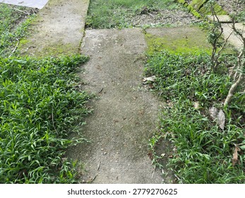 A weathered concrete path intersection overgrown with vibrant green grass and moss, indicating neglect in an outdoor garden or natural setting.