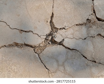 Weathered concrete surface with intersecting cracks—outdoor pavement background; concept of structural damage and maintenance.