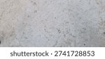 Weathered Concrete Surface: A top-down view of a stained and worn concrete floor.