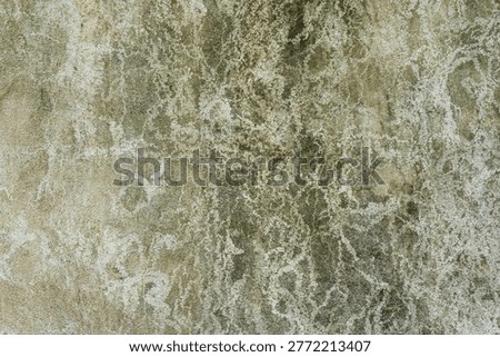 Weathered concrete wall surface featuring natural moss growth and aged stone texture