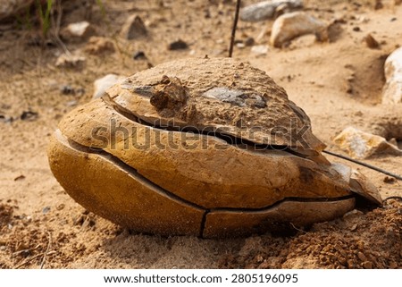 Weathered desert boulder featuring deep natural fractures and textured surface, aged by harsh sun, wind, and erosion in a dry sandy landscape