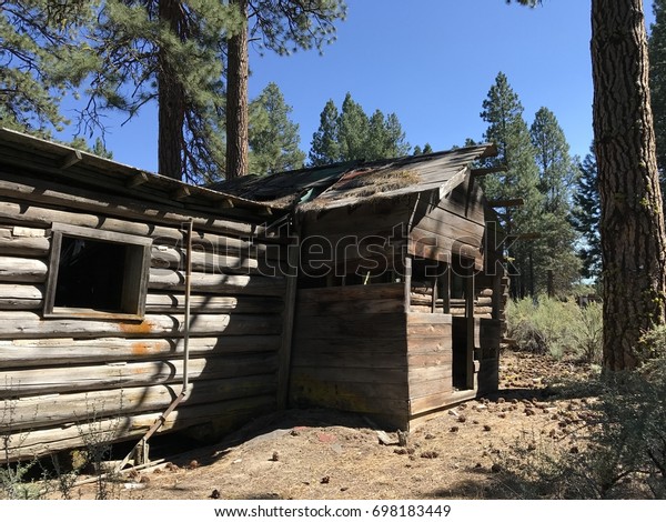 Weathered Dilapidated Log Cabin Oregon Caved Stock Photo Edit Now