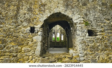 A weathered Gothic stone archway frames the roofless interior of a medieval Irish abbey, with lichen-encrusted walls and lancet windows visible beyond. The ancient stonework, characteristic of Irish ecclesiastical architecture, reveals centuries of history amid encroaching vegetation.