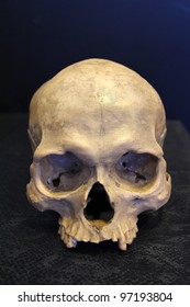 Weathered Human Skull