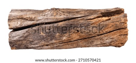 A weathered log found in the forest isolated on a white background. Stack.