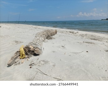 A weathered log rests on a sandy beach, accompanied by fishing rods in the distance, illustrating a quiet, untouched moment of coastal solitude and debris.