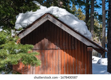 Weathered Metal Shack In The Forest