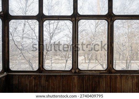 A weathered multi-pane window frames a bleak winter scene: bare birch trees, a foggy street, distant buildings; below, aged wooden paneling adds rustic charm