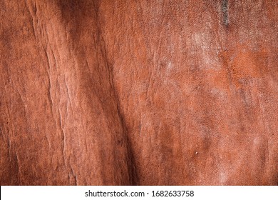 Weathered ,old, Tanning Leather With Ruff Texture 