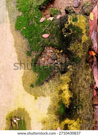Weathered and peeling wall texture with aged paint, stains, and grunge patterns in earthy tones. Ideal for backgrounds, vintage designs, urban decay themes, and abstract textured surfaces.
