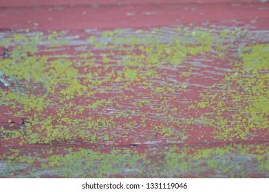 Weathered Red Barnwood With Green Moss Growing