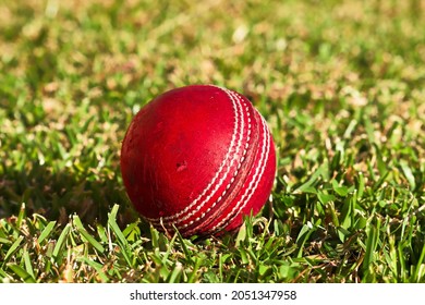 8 Australian backyard cricket Images, Stock Photos & Vectors | Shutterstock