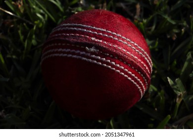 8 Australian backyard cricket Images, Stock Photos & Vectors | Shutterstock