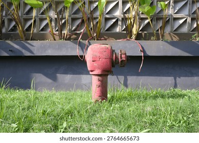 Weathered red fire hydrant stands in lush green grass under natural light. Perfect for safety posters, city planning, or website banners