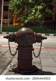 A weathered red fire hydrant stands on a quiet sidewalk at night, illuminated by warm streetlights. The image is captured with a shallow depth of field, creating a beautifully blurred background of lush green trees and an empty street. The rusted texture of the hydrant contrasts with the soft bokeh lights, giving the scene a calm, cinematic, and slightly nostalgic atmosphere.