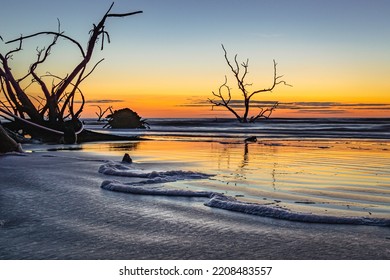 The Weathered Remains Of A Shoreline Tree Stand In The Waves Of The Atlantic Of Hunting Island State Park.