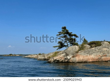 Weathered Rocks and lone pine tree in Georgian Bay Ontario Canada