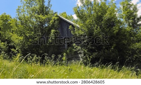 An weathered rustic timber outbuilding stands neglected and partially hidden by lush forest foliage in a rural grassy field