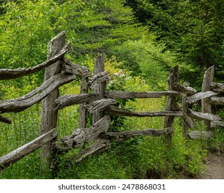 A weathered section of rustic log fence bordering a meadow of wildflowers along the Rhododendron Trail in Grayson Highlands State Park in Mouth of Wilson, Virginia. - Powered by Shutterstock