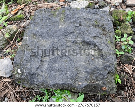 Weathered square stone slab with rough texture, covered in moss and dirt, lying on the ground among small plants and debris, showing natural erosion and aging.