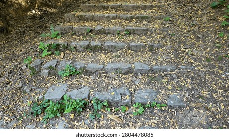 Weathered stone blocks form a rustic staircase climbing a dirt slope, heavily scattered with small yellow autumn leaves and sprouting green ferns