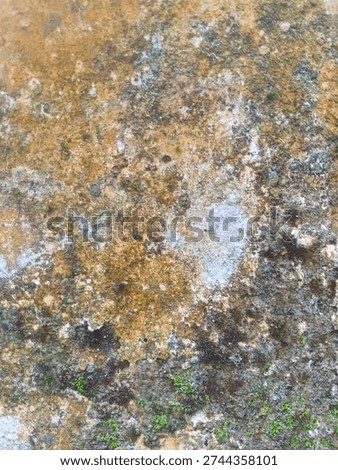 Weathered stone with orange rust, dark moss, and peeling white paint textures.