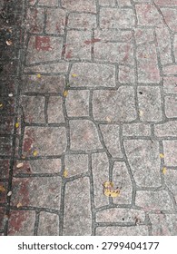 Weathered Stone Pavement Texture Background with Rustic Cobblestone Pattern and Fallen Leaves