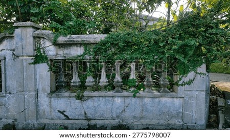 Weathered stone railing partially covered in lush green ivy against a backdrop of trees