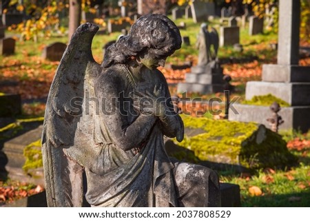 A weathered stone statue of praying angel on graves in Brompton cemetery in London, England