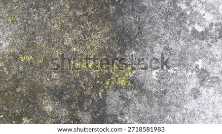 Weathered stone surface with dark, damp patches and bright green moss clusters growing on the face.