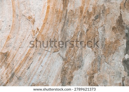 Weathered Stone Texture Featuring Circular Mineral Structures And Striations