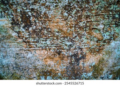 Weathered Stone Texture with Lichen Detail on Old Mans Cave Trail - Powered by Shutterstock - Get 15% off with code: PIKWIZARD15