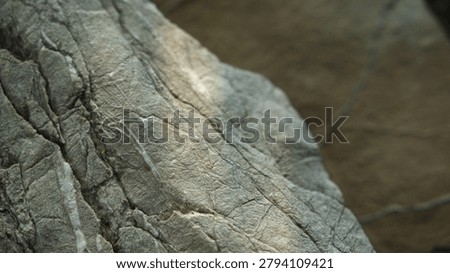 Weathered stone texture with soft daylight