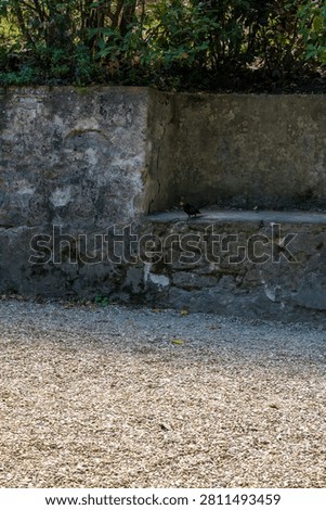Weathered stone wall with a ledge beside a gravel path in an old garden. Silence and seclusion of a historic park corner.