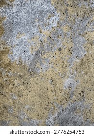 Weathered stratum displaying nuanced textural erosion and discoloured mineral deposits
