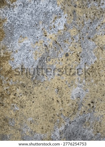 Weathered stratum displaying nuanced textural erosion and discoloured mineral deposits