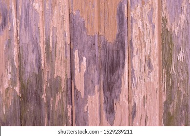 Weathered And Sun Faded Barn Siding.