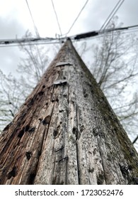 Weathered Telephone Poll On A Rainy Afternoon