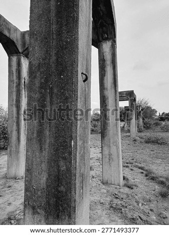 Weathered Tree Bark Texture with Natural Decay, Similar structures are often found in areas with a history of tin mining or large-scale construction projects that were halted.These structures are often remnants of early 20th-century industrial development. Peninggalan Perang Dunia ke2