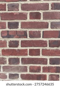 Weathered, undersized bricks float within cavernous gaps of mortar that glint with an unnerving, crystalline shimmer.