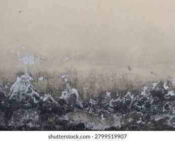 A weathered wall with a beige surface, displaying significant dirt and grime accumulation towards the lower section. The wall shows signs of wear, with peeling paint and blackened patches indicative of moisture damage or mold growth. The texture varies from smooth at the top to rough and uneven at the bottom, creating an aged and distressed appearance. The overall condition of the wall suggests longstanding exposure to environmental elements.